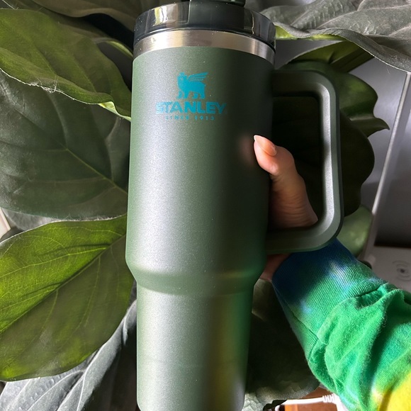 Stanley Kitchen Used Spirulina Stanley Cup Tumbler Cup 4oz Poshmark